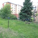 Cox & Co Estate agent in Edinburgh, Scotland. A grassy backyard with tall grass at the edges, a distant wooden fence, and two utility poles connected by lines. There are several trees, including a large evergreen. In the background are modern apartment buildings with multiple stories and windows along Slateford Road.